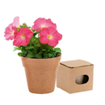 Maceta con semillas PETUNIA Biodegradable - Imagen 3