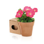 Maceta con semillas PETUNIA Biodegradable - Imagen 2