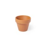 Maceta con semillas PETUNIA Biodegradable - Imagen 5