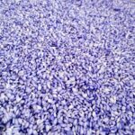 arroz de colores