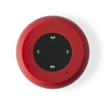 Altavoz braiss detalle boda - Imagen 2
