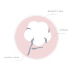 Crema De Manos Bouquet Floral & Musk Don Algodon - Imagen 2
