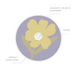 Crema De Manos Ylang Ylang & Vainilla Don Algodon - Imagen 2