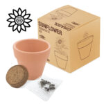 Maceta terracota Girasol